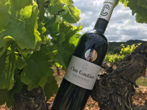 Clos Gautier Rouge