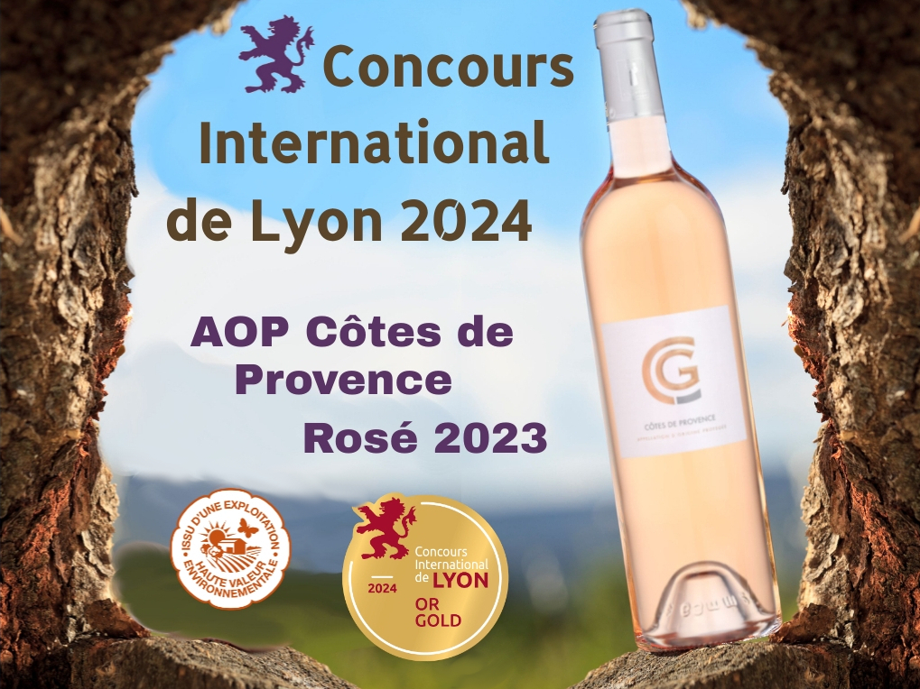 Publication OR Lyon 2024
